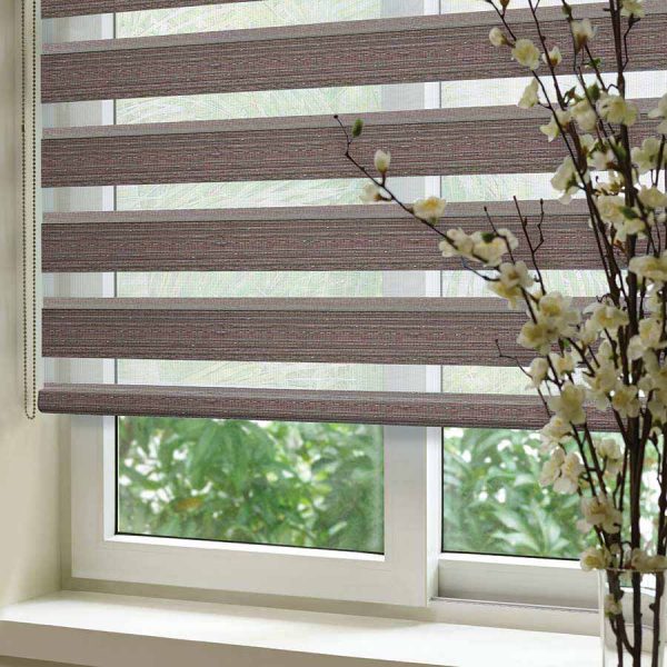 Zebra blinds