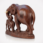 Mother with baby Elephant