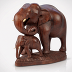 Mother with baby Elephant